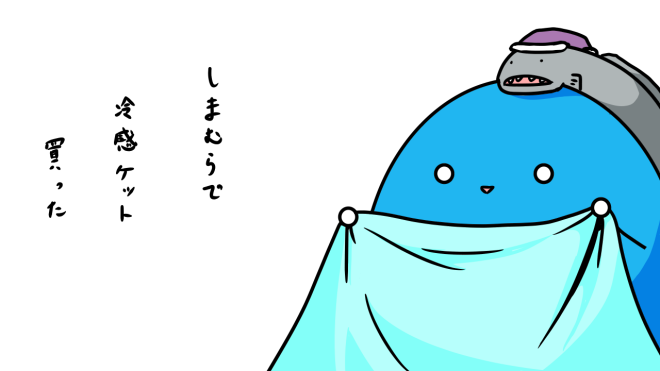 冷感ケット